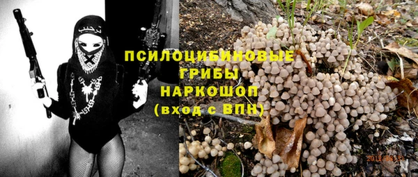 СК Балахна