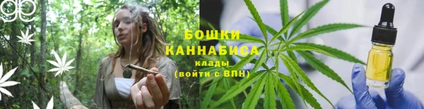 СК Балахна