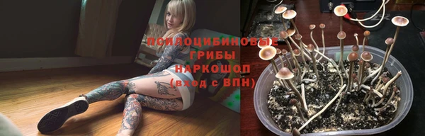 СК Балахна
